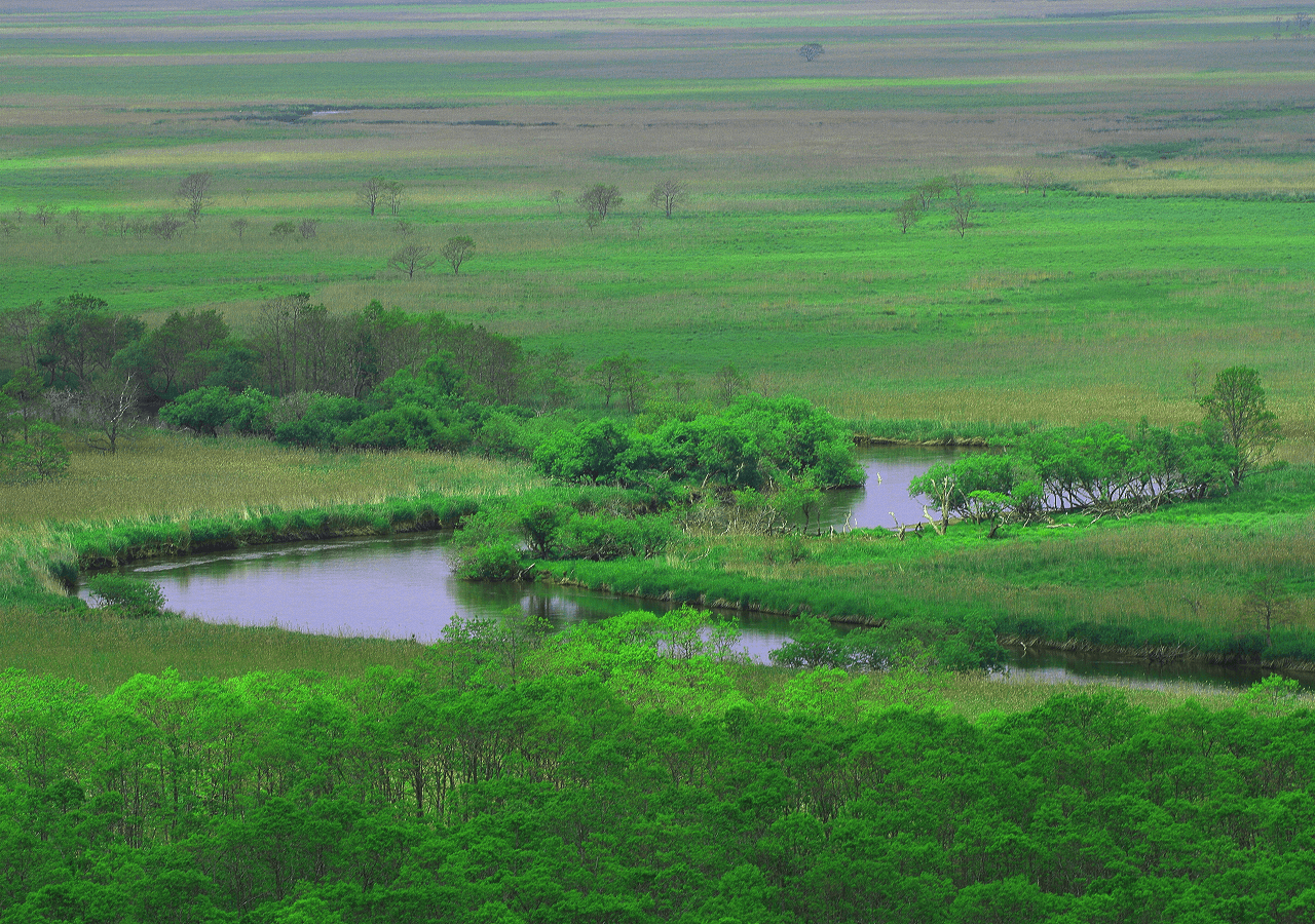 釧路湿原