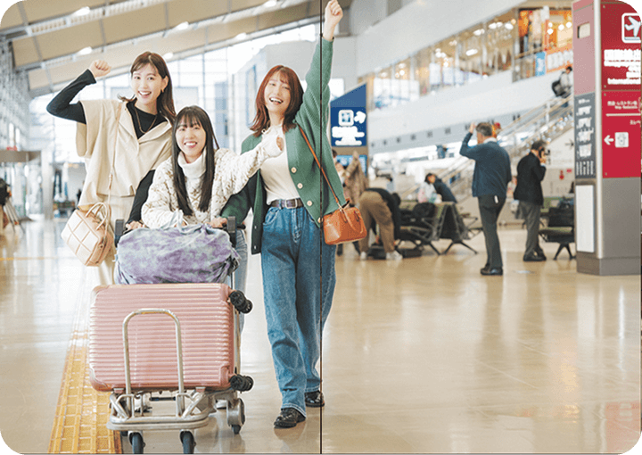 観光・ビジネスツアーの開発